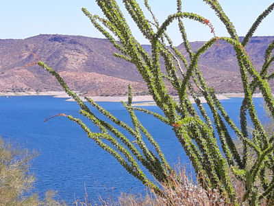 Lake Pleasant Regional Park