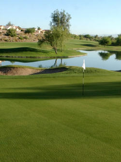 Picture of a water hazard on the green golf course near some homes